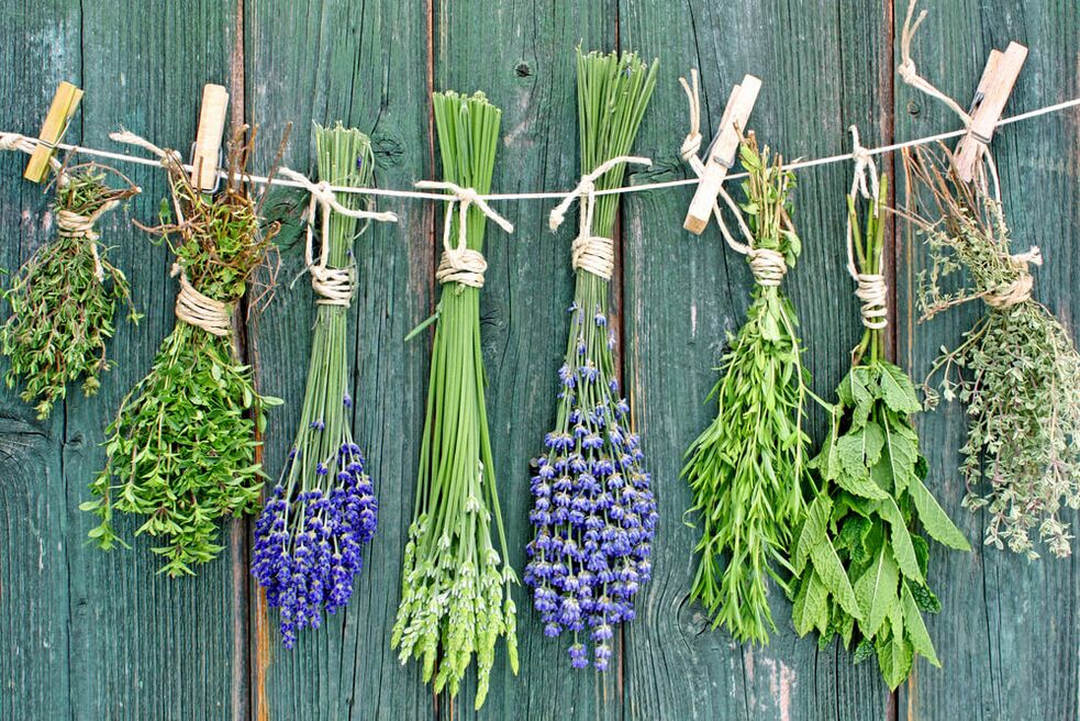 herb for luck and well-being